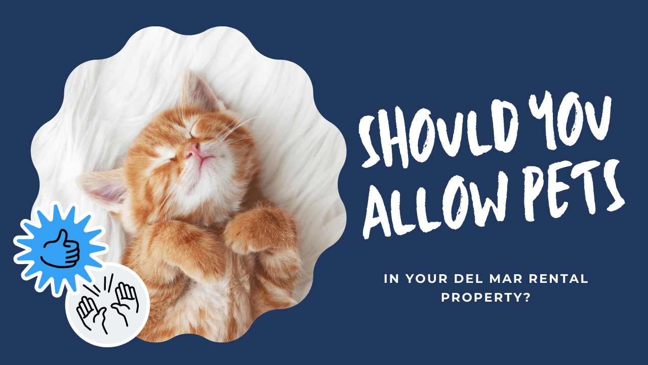 Should You Allow Pets in Your Del Mar Rental Property?